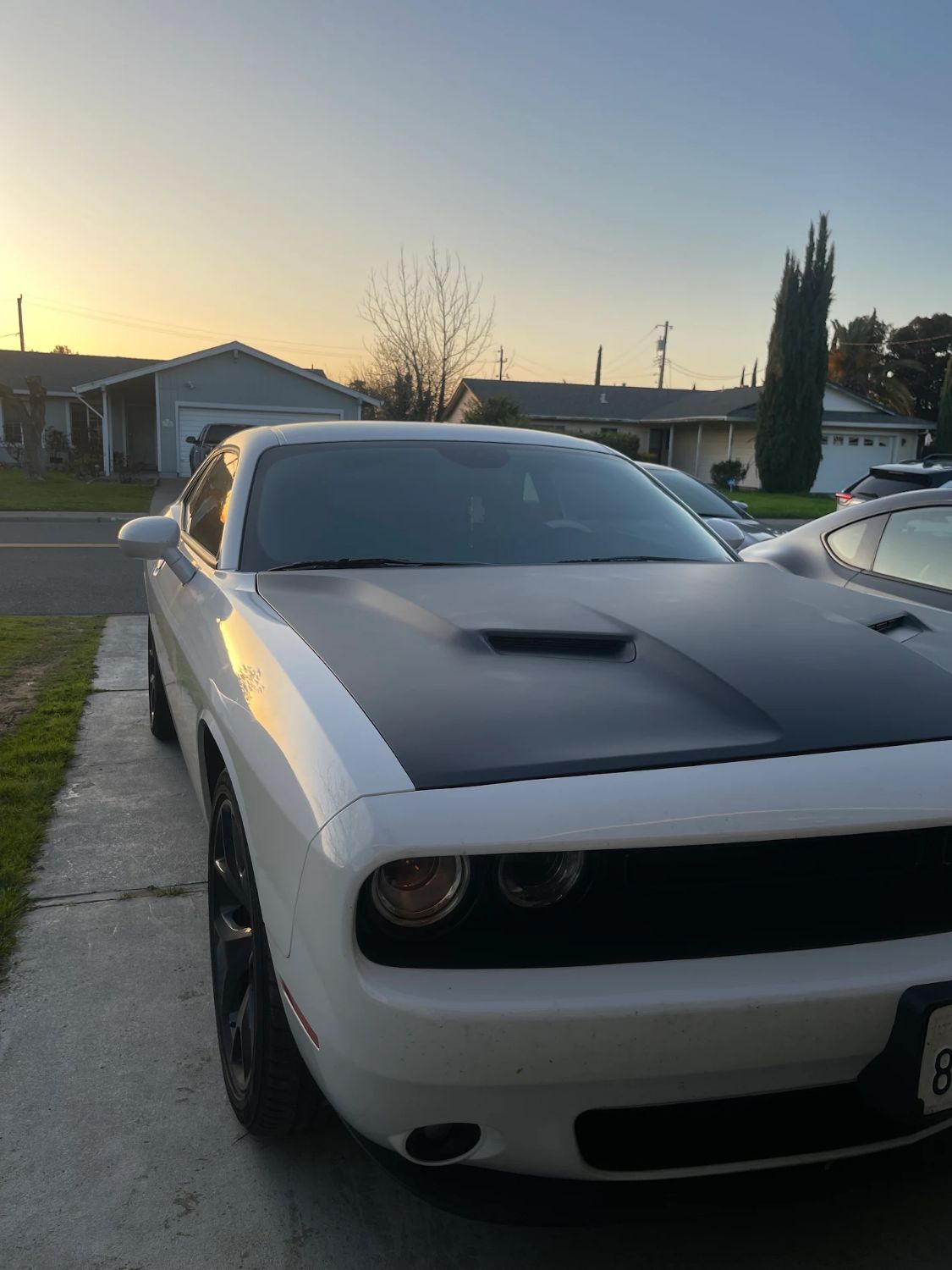 Ivy Huizar Challenger matte hood wrap